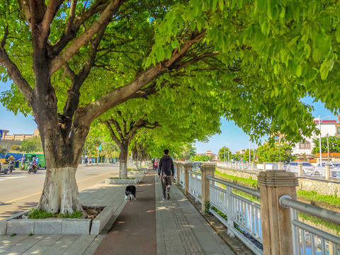 休閑步道