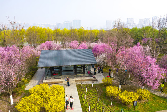 春景