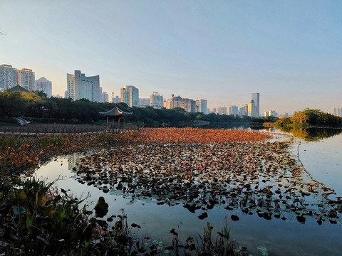 南湖公園日出