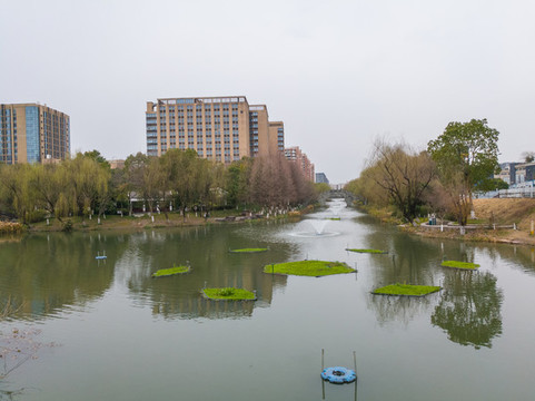 五水共治生態(tài)浮島