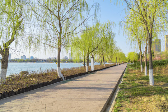 戶外公園道路景觀