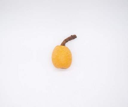枇杷