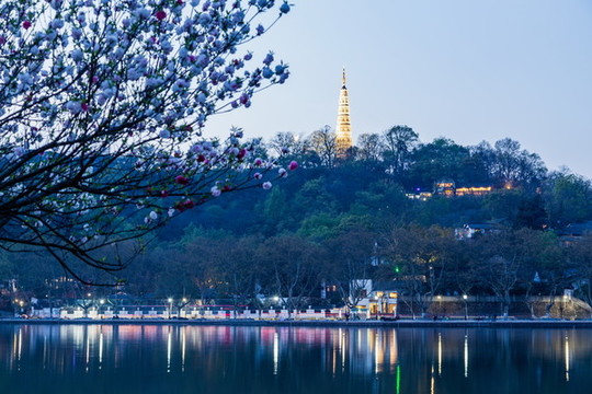 杭州西湖桃花