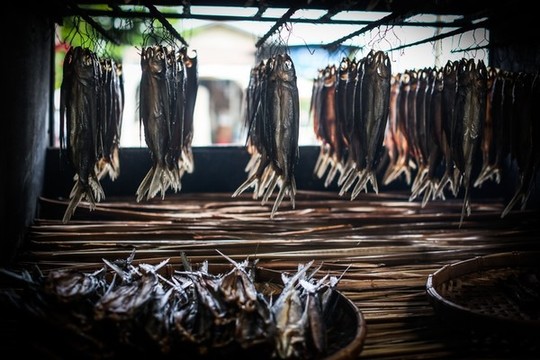 臘魚