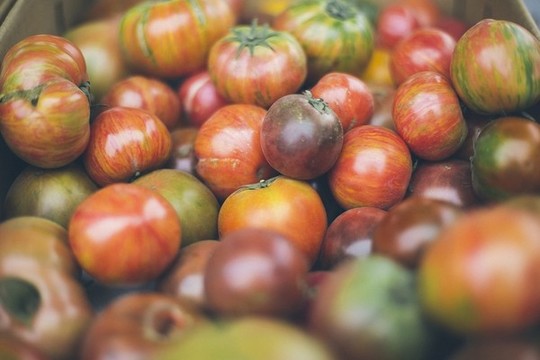 西紅柿堆