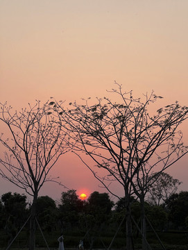 夕陽(yáng)落日