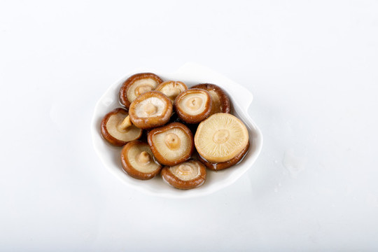 金錢菇