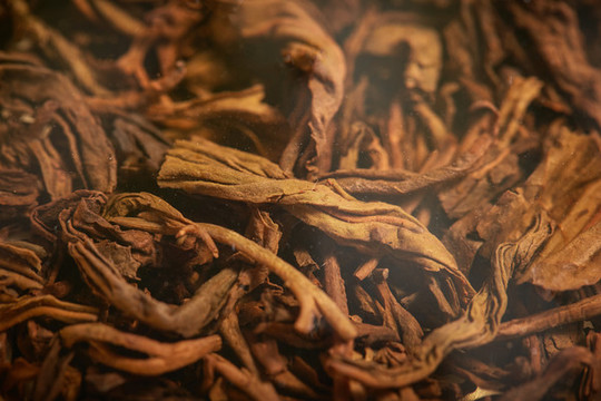 黑茶