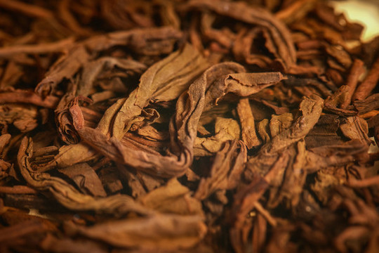 黑茶