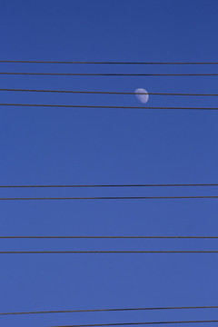 電力線