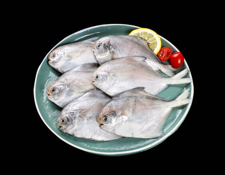 銀鯧魚