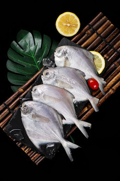 銀鯧魚