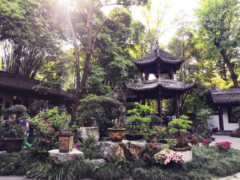 公園涼亭盆景