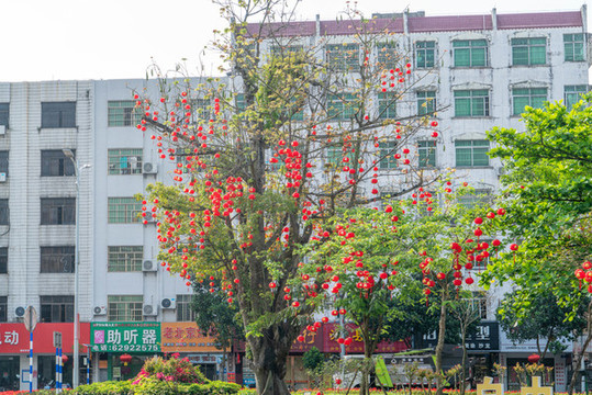 春節(jié)的街市