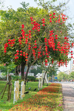 春節(jié)的街市