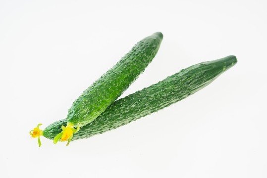新鮮蔬菜黃瓜