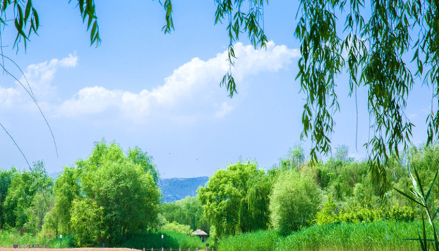 自然風(fēng)景