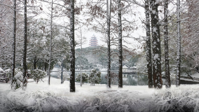 株洲市神農(nóng)公園雪景