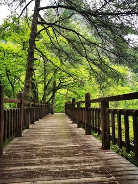 廊橋