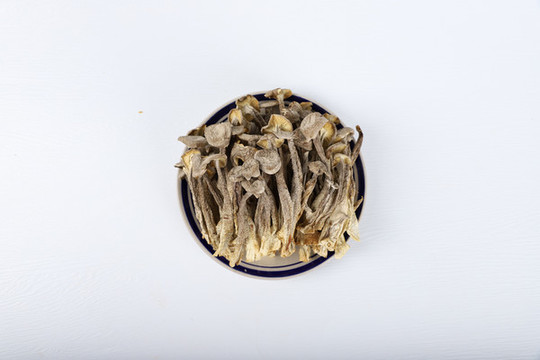 鹿茸菇