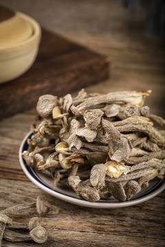 鹿茸菇