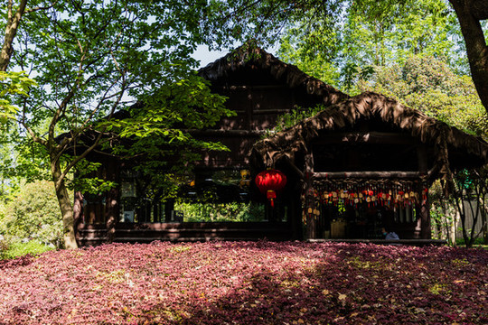 紹興沈園
