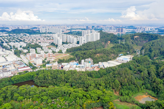 番禺大夫山風(fēng)光