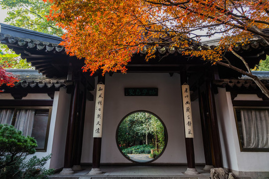 杭州曲院風(fēng)荷公園秋色