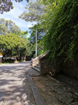 戶外景觀一隅