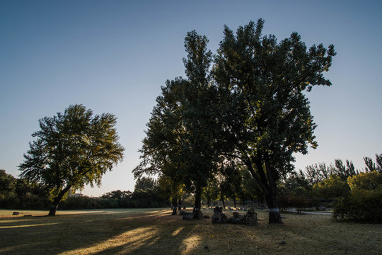 圓明園遺址公園勤政親賢遺址
