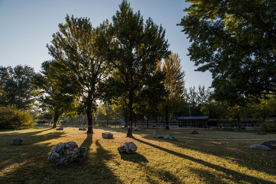 圓明園遺址公園勤政親賢遺址