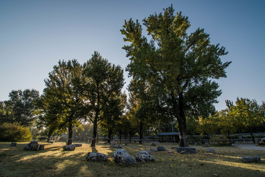 圓明園遺址公園勤政親賢遺址