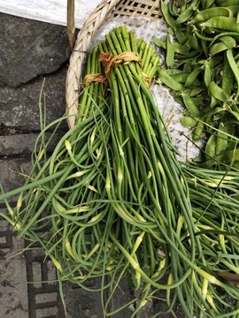 新鮮蒜苔