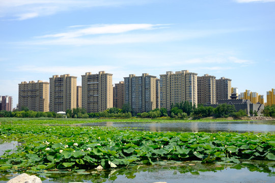 城市湖畔自然風(fēng)光