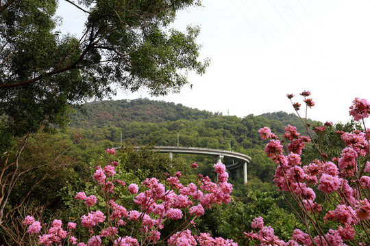 深圳恩上公園