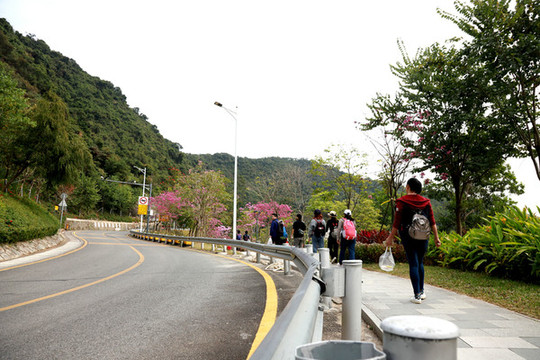恩上公路游人背影