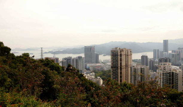 俯視鹽田港