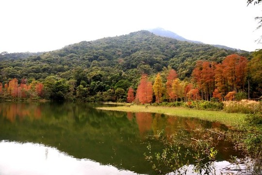 恩上水庫秋色美景
