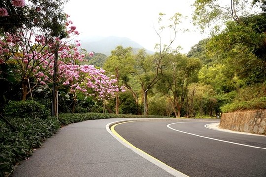 深圳恩上公路