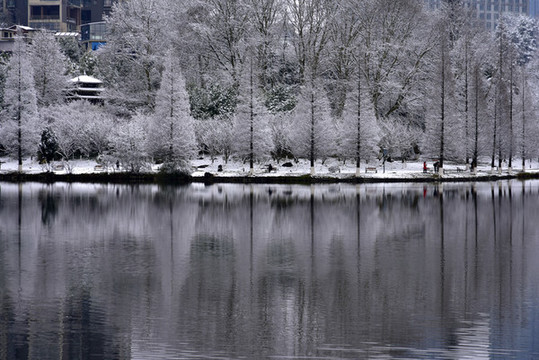 貴陽(yáng)觀山湖雪景