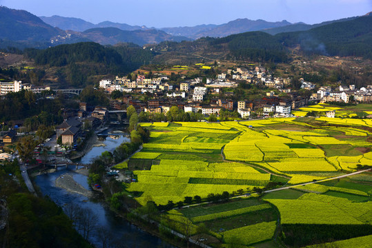 十里畫(huà)廊菜花香