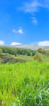 張北草原