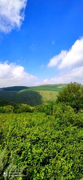 張北草原