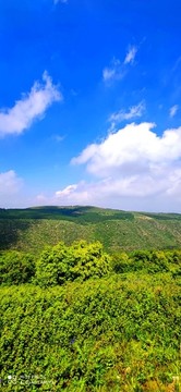 張北草原