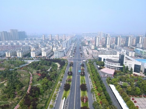 城市道路綠化