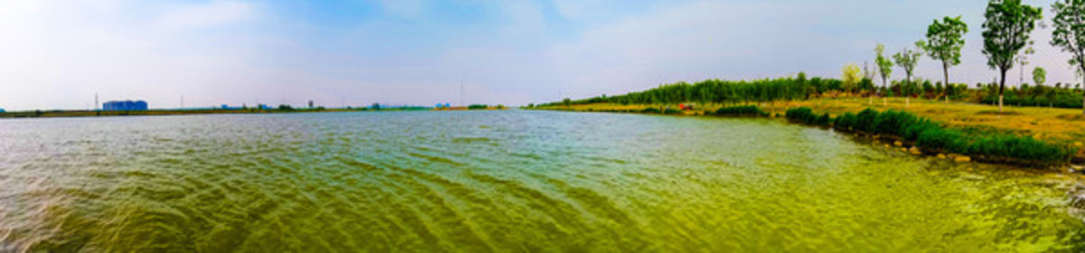渭河城市運(yùn)動(dòng)公園全景大圖