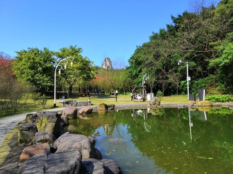 公園美景池塘倒影
