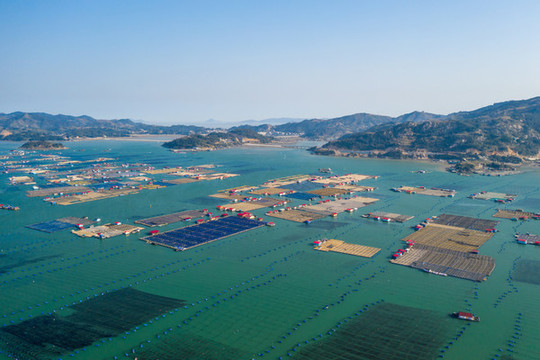 霞浦魚排