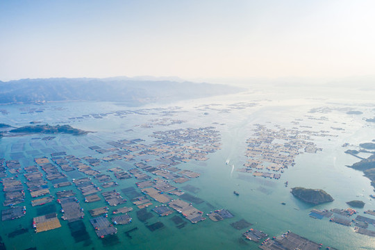 霞浦魚排