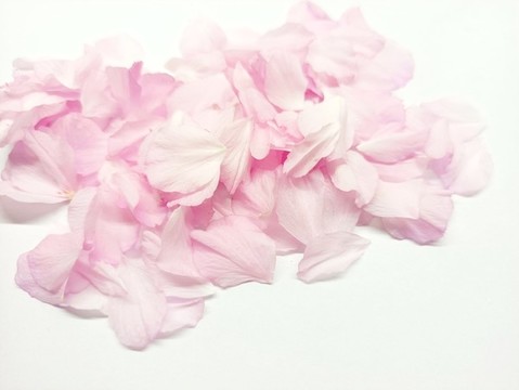 櫻花
